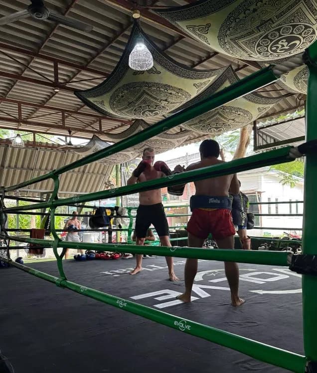 DTV + Muay Thai